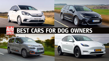 Best cars for dog owners - header image