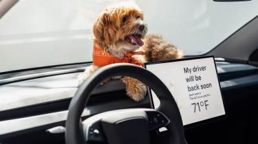 Tesla Model 3 Standard - dog