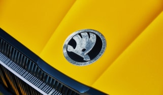 Skoda Vision iV concept - Skoda badge