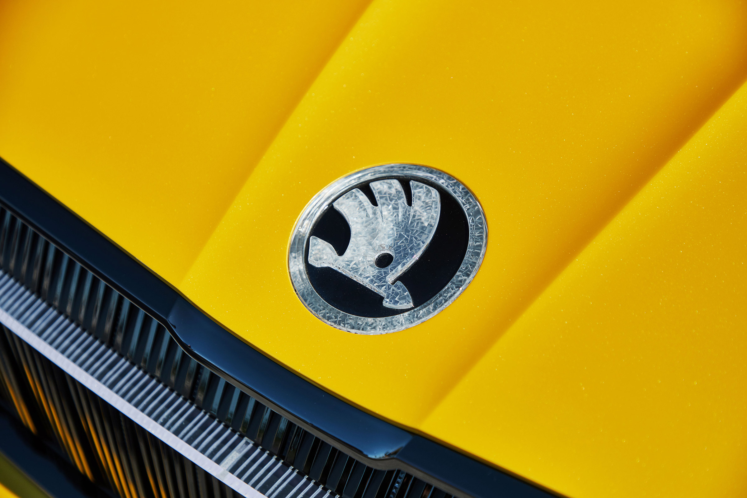 Skoda plots 30 new models by 2022  Auto Express