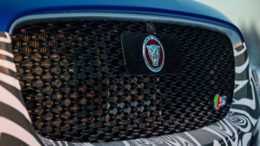 Jaguar F-Pace prototype - grille