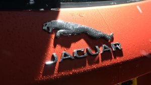 Jaguar F-Pace SVR - Jaguar badge
