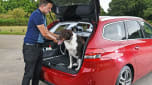 Best cars for dog owners