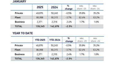 Jan Sales 2025 and YTD cars