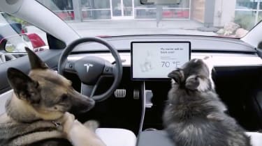Tesla dog mode