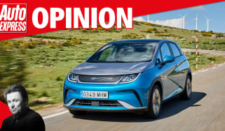 Opinion - BYD Dolphin