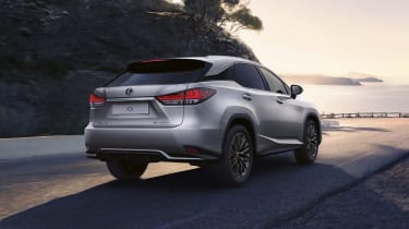 Lexus RX Premium Sport - rear