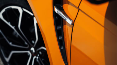 Renault Megane RS - side detail