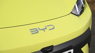 BYD Dolphin Surf Comfort - BYD badge