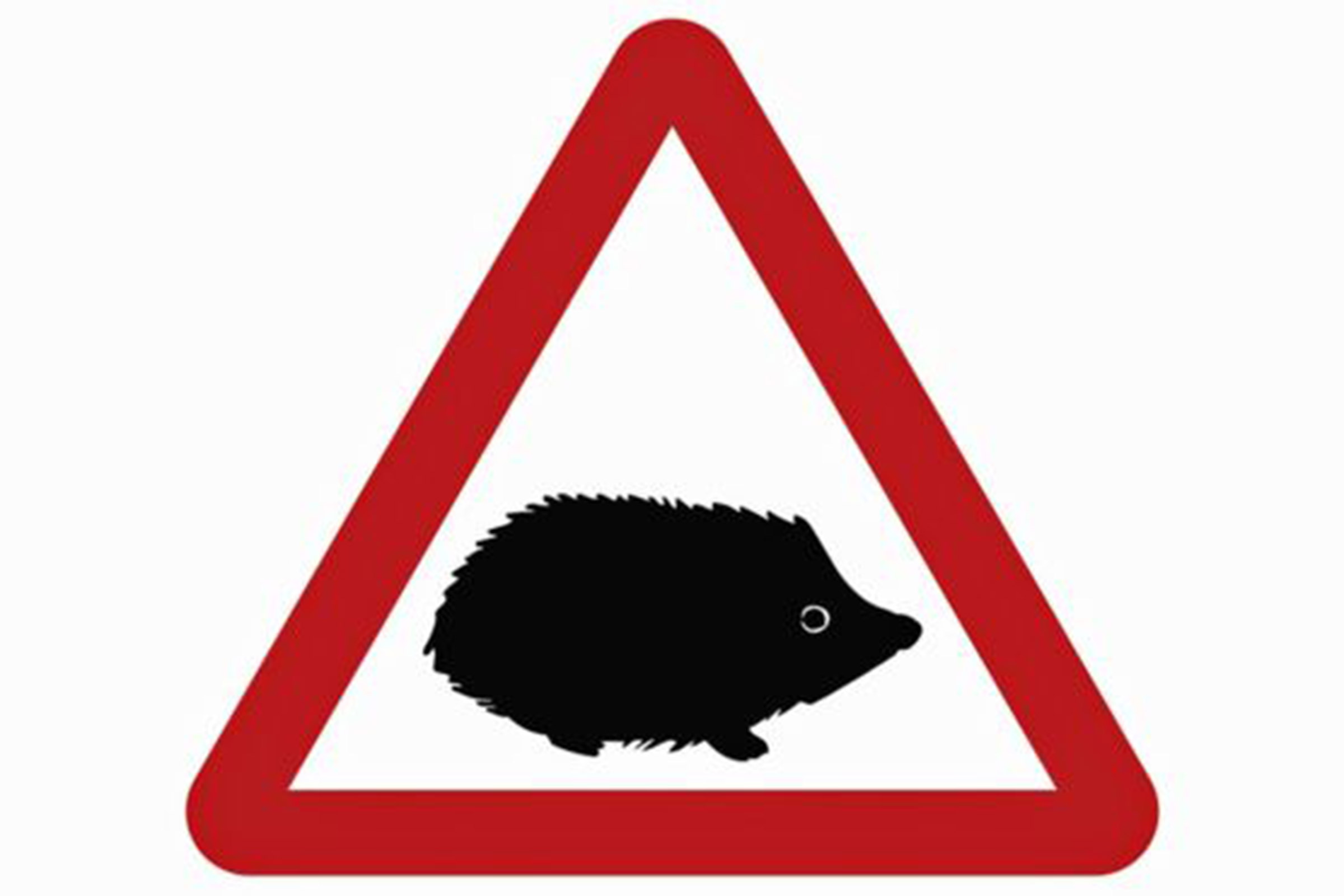 Beware of the hedgehog: new road signs to warn of small 