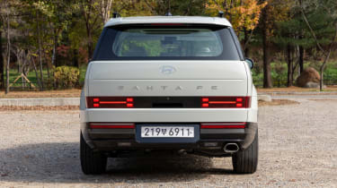 Hyundai Santa Fe - full rear