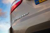 Ford EcoSport - badge