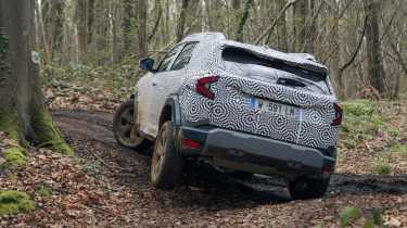 Dacia Duster - rear action