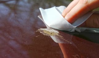 Wiping bird poo off of paintwork