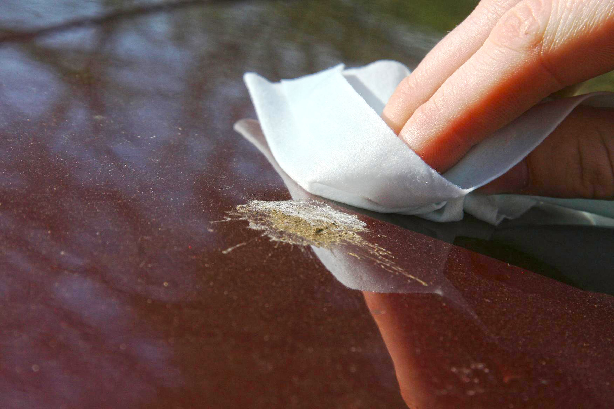 how-to-get-bird-poop-off-your-car-auto-express