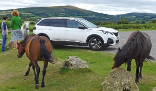 peugeot 5008 long termer static