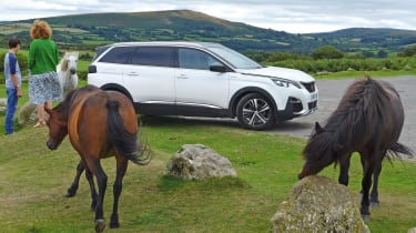 Peugeot 5008 GT Line: long-term test review  Auto Express