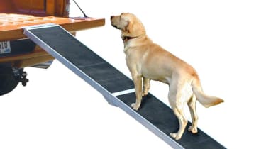 Easipet best sale dog ramp