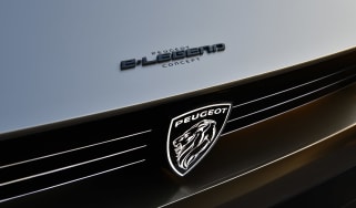 Peugeot e-LEGEND - grille