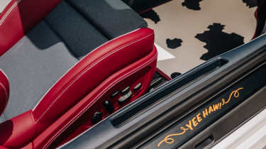 Porsche 911 Jessie - sill
