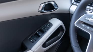 BYD Atto 2 DM-i - door