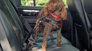 Musonic Dog Safety Vest Harness