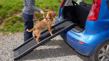 Dog ramp for car boot sale