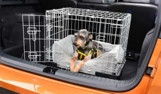 Dogs in cars - cage