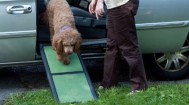 Dog ramp for car back outlet seat