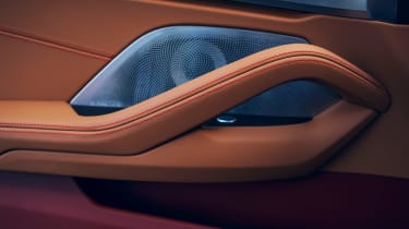 BMW 8 Series X Jeff Koons - door detail