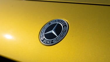 Mercedes Citan - Mercedes badge