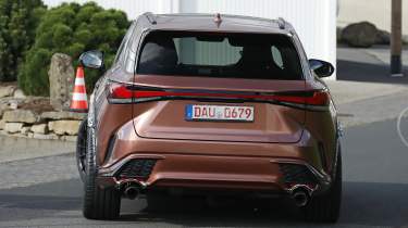 Hot Lexus RX - rear