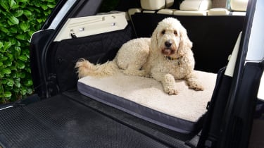 Auto Express editor-in-chief Steve Fowler&#039;s dog sitting in the boot of the Range Rover
