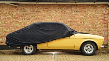 Cosmos indoor car cover