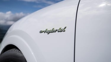 Porsche Cayenne E-Hybrid - badge
