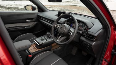 Mazda MX-30 R-EV - interior (driver&#039;s door view)