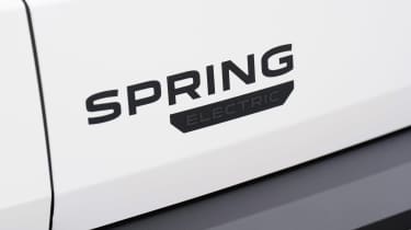 Dacia Spring Cargo - rear detail