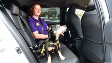 Dogs Trust member sitting in a car&#039;s back seat with a dog