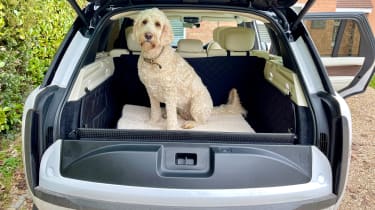 Range Rover - dog in boot