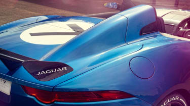 Jaguar F-Type Project 7 fin