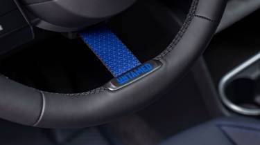 MINI Countryman Untamed - steering wheel detail