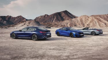 BMW 8 Series facelift 2022 - group