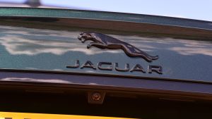 Jaguar XF P250 - Jaguar badge