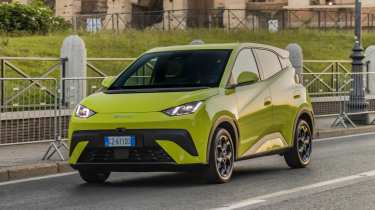 BYD Dolphin Surf - front action