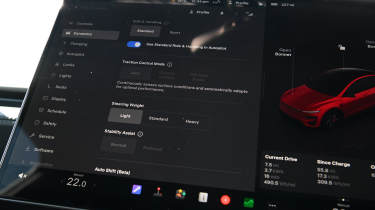 Tesla Model Y Performance 2025 - screen