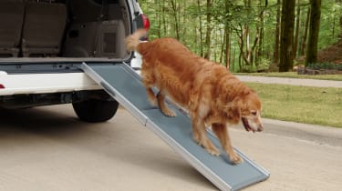 car dog ramp