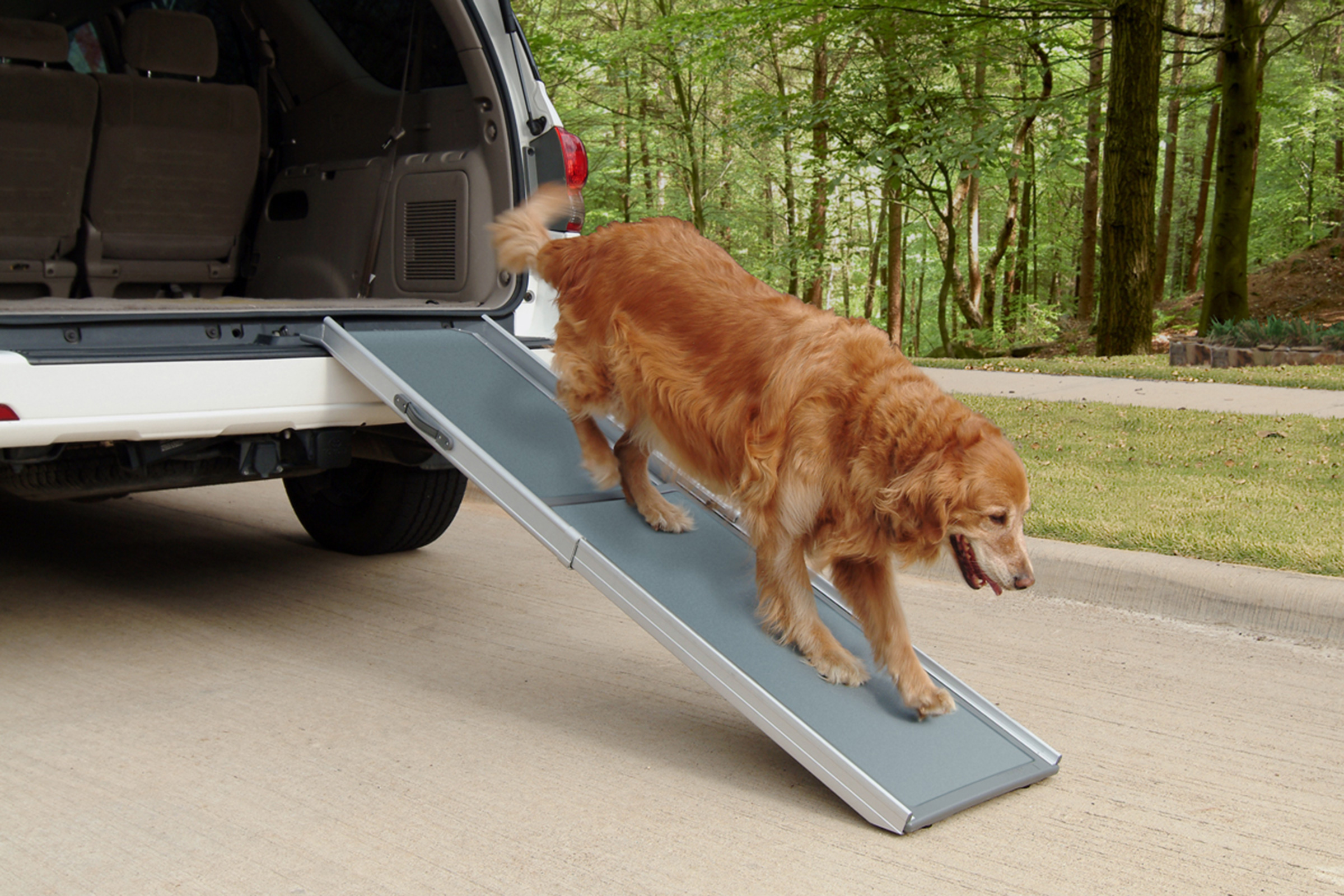 ramp to get dog in car