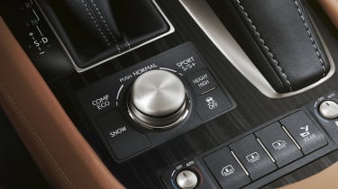 Lexus LS 460L detail