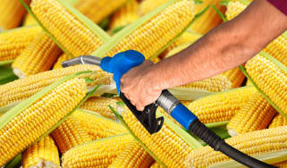 Biofuel corn-based