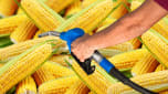 Biofuel corn-based